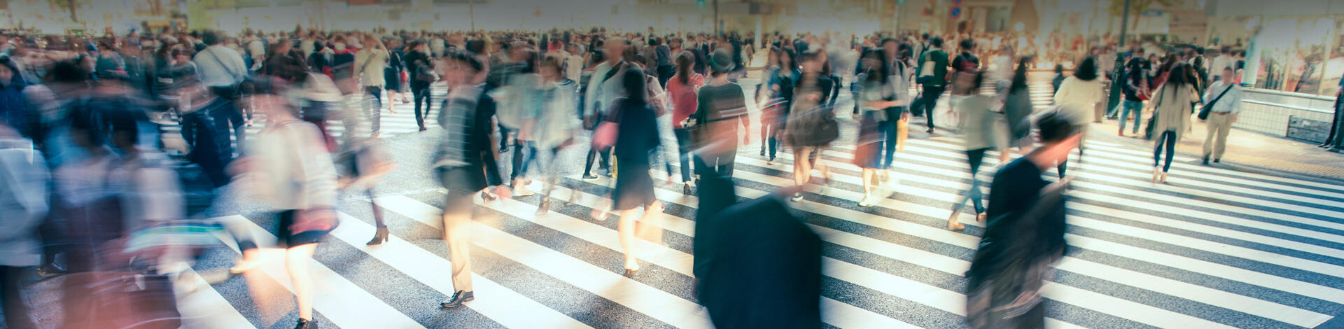 Školení a Konzultace