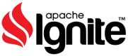 Image for Apache Ignite category