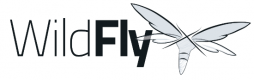 Wildfly Školení v České republice